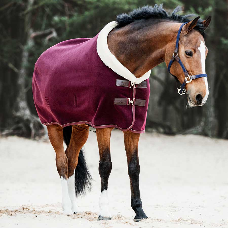 Show Rug Heavy Fleece Bordeaux