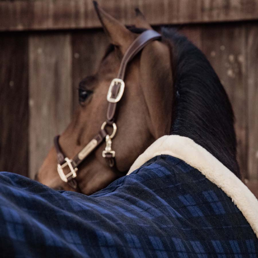 Show Rug Heavy Fleece Check Printing