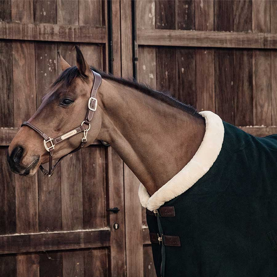 Show Rug Heavy Fleece Green