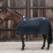 Magnetic Rug Magnetic Recuptex Navy Magnetic Rug Magnetic Recuptex Navy