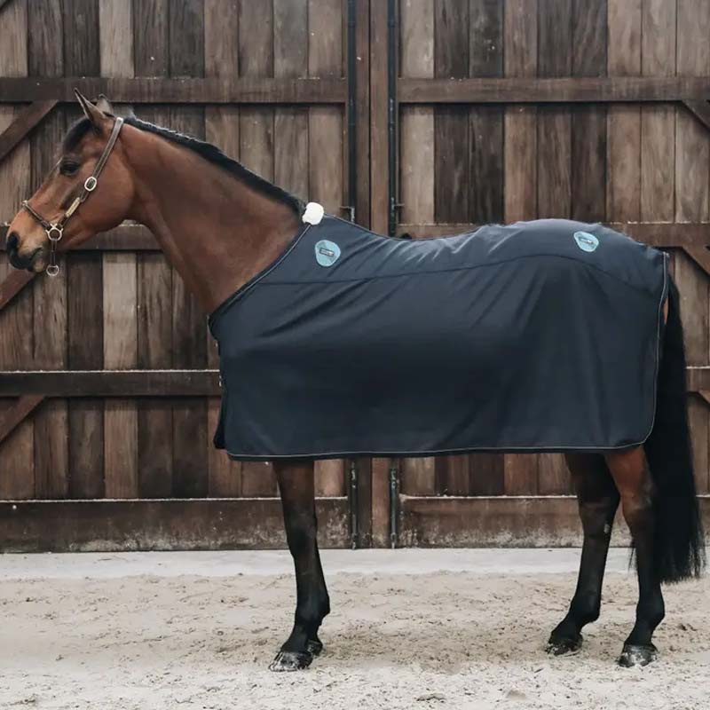 Magnetic Rug Magnetic Recuptex Navy