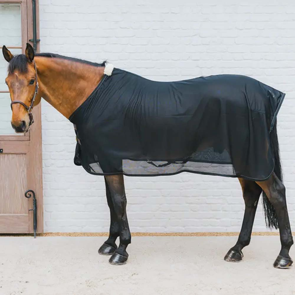 Fly Rug Mesh Black