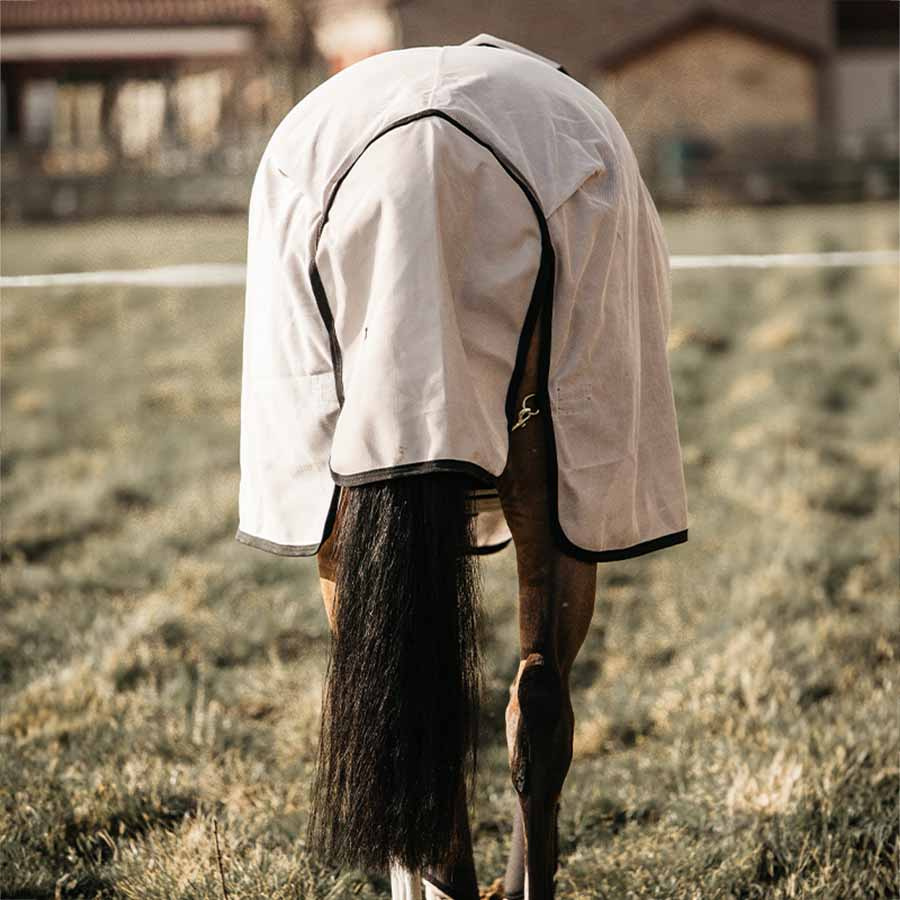 Fly Rug Mesh Beige