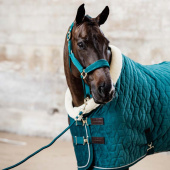 Show Rug Velvet 160g Emerald Green Show Rug Velvet 160g Emerald Green