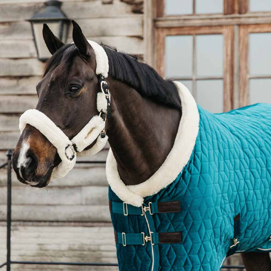 Show Rug Velvet 160g Emerald Green