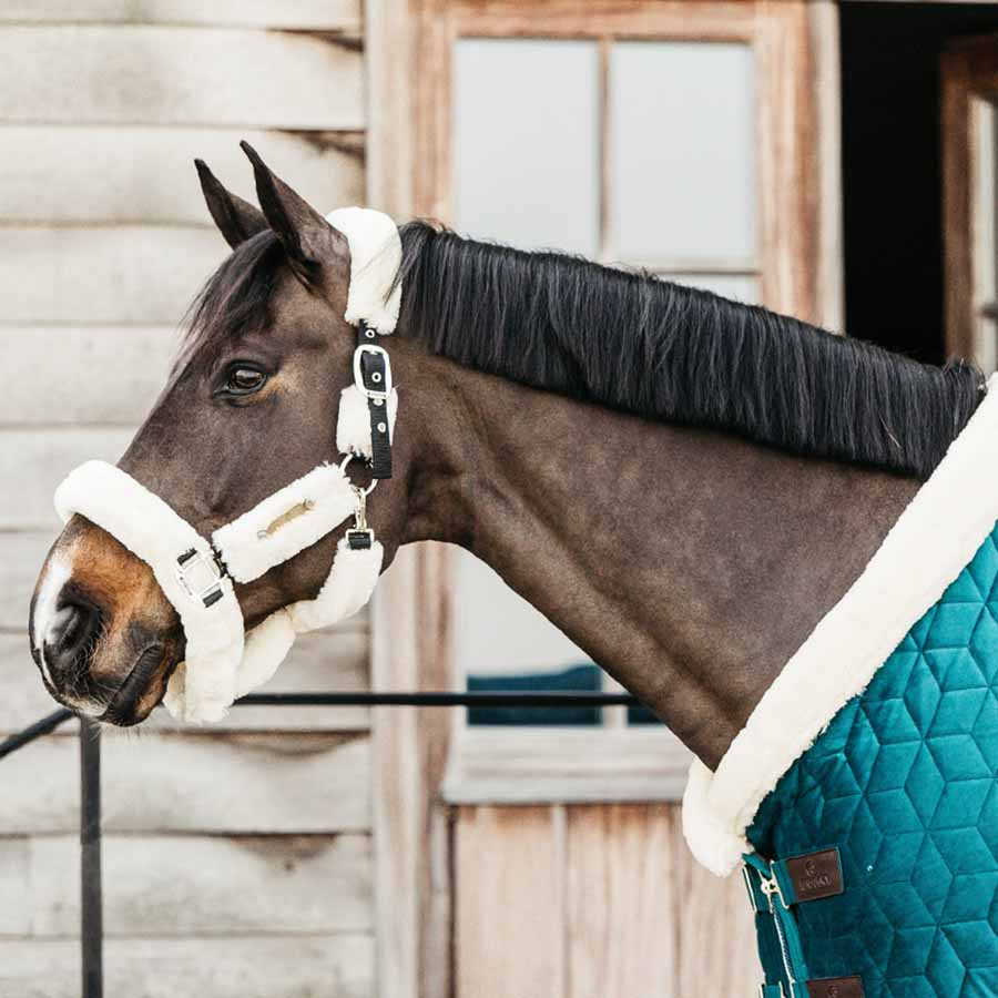 Show Rug Velvet 160g Emerald Green