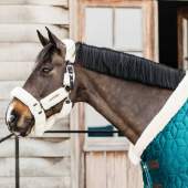 Show Rug Velvet 160g Emerald Green Show Rug Velvet 160g Emerald Green