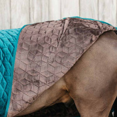 Show Rug Velvet 160g Emerald Green Show Rug Velvet 160g Emerald Green