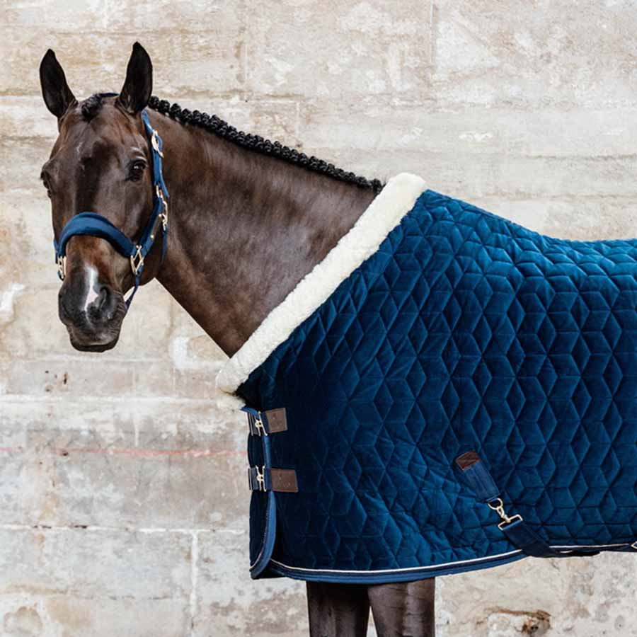 Competition Rug Velvet Navy