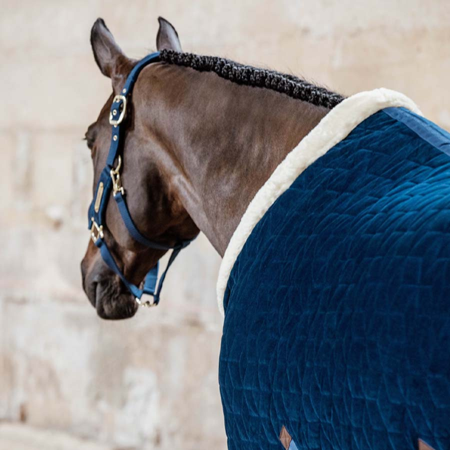 Competition Rug Velvet Navy