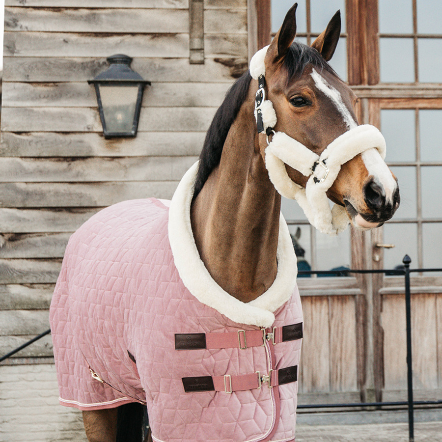 Show Rug Velvet 160g Old Pink