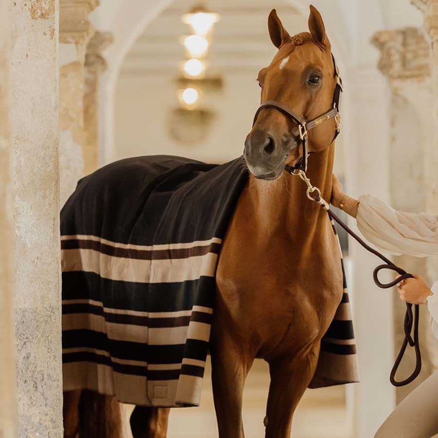 Fleece Rug Heavy Square Stripes Brown 210x200
