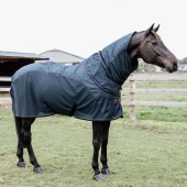 Fly Rug Waterproof Combo Classic 0g Navy Blue Fly Rug Waterproof Combo Classic 0g Navy Blue