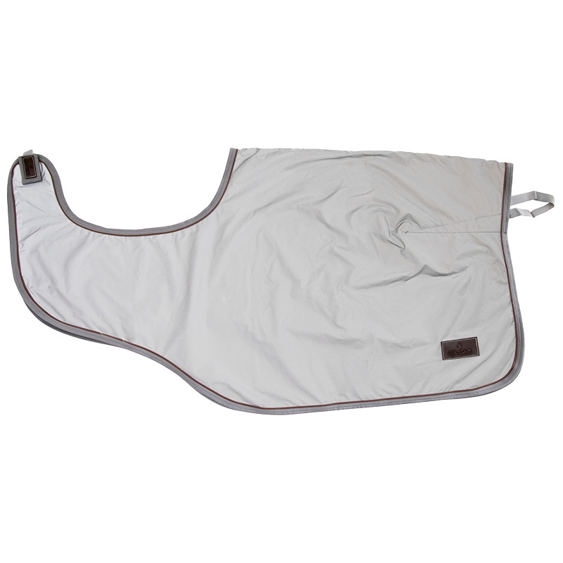 Exercise Sheet Reflective Silver