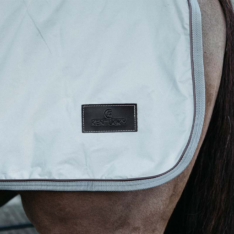 Exercise Sheet Reflective Silver