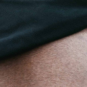 Exercise Sheet Reflective Silver Exercise Sheet Reflective Silver