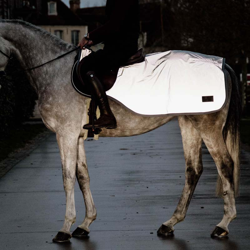 Exercise Sheet Reflective Silver