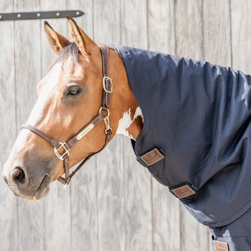 Turnout Rug with Neck All Weather Quick Dry Fleece 150g Navy Blue