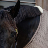 Cooler Sheet 4D Spacer Beige