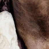 Chest Expander Vegan Sheepskin 1 Buckle Nature Chest Expander Vegan Sheepskin 1 Buckle Nature