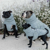 Dog Coat Winter Pina 160g Blue Dog Coat Winter Pina 160g Blue