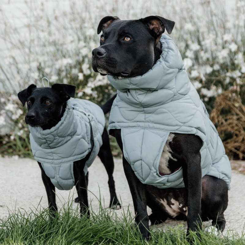 Dog Coat Winter Pina 160g Blue