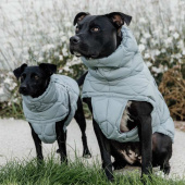 Dog Coat Winter Pina 160g Blue Dog Coat Winter Pina 160g Blue