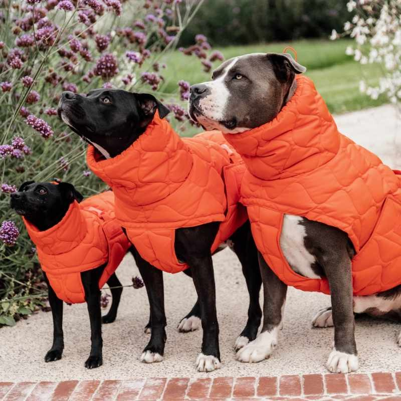 Dog Coat Winter Pina 160g Orange