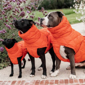 Dog Coat Winter Pina 160g Orange Dog Coat Winter Pina 160g Orange