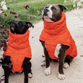 Dog Coat Winter Pina 160g Orange Dog Coat Winter Pina 160g Orange