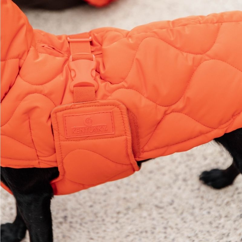 Dog Coat Winter Pina 160g Orange