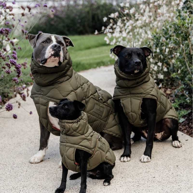 Dog Coat Winter Pina 160g Green