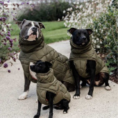 Dog Coat Winter Pina 160g Green Dog Coat Winter Pina 160g Green