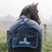 Turnout Rug All Weather Waterproof Comfort 100g Navy Blue Turnout Rug All Weather Waterproof Comfort 100g Navy Blue