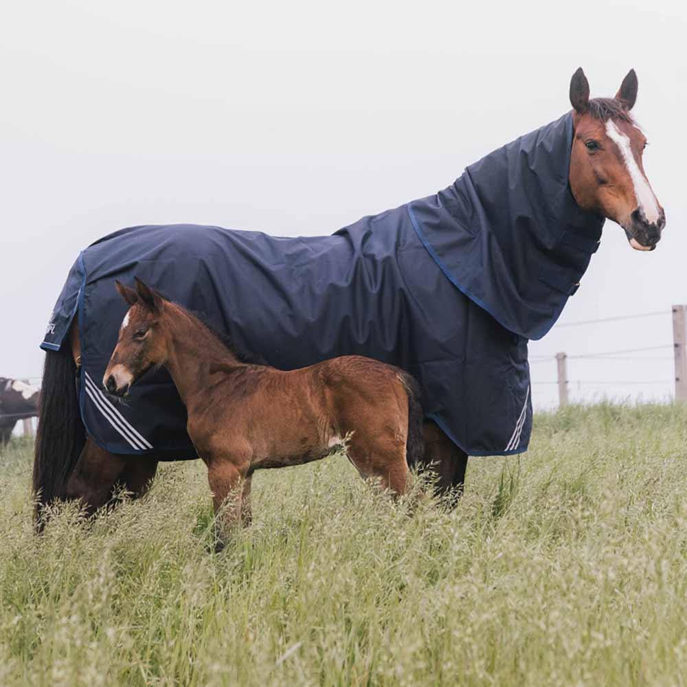 Turnout Rug All Weather Waterproof Comfort 100g Navy Blue
