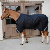 Turnout Rug All Weather Waterproof Comfort 300g Navy Blue Turnout Rug All Weather Waterproof Comfort 300g Navy Blue