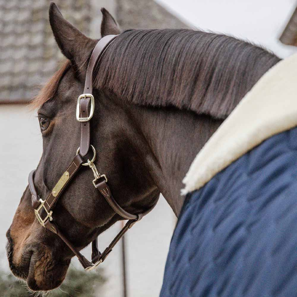 Stable Rug Comfort 100g Navy Blue