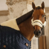 Stable Rug Comfort 200g Navy Blue Stable Rug Comfort 200g Navy Blue