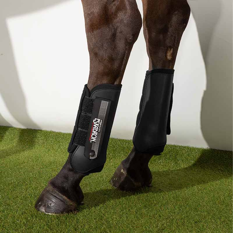 Fetlock Boots Field Event Rear Cross Country Black