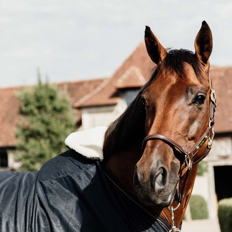 Neck Cover All Weather Pro G Navy