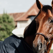 Neck Cover All Weather Pro G Navy Neck Cover All Weather Pro G Navy