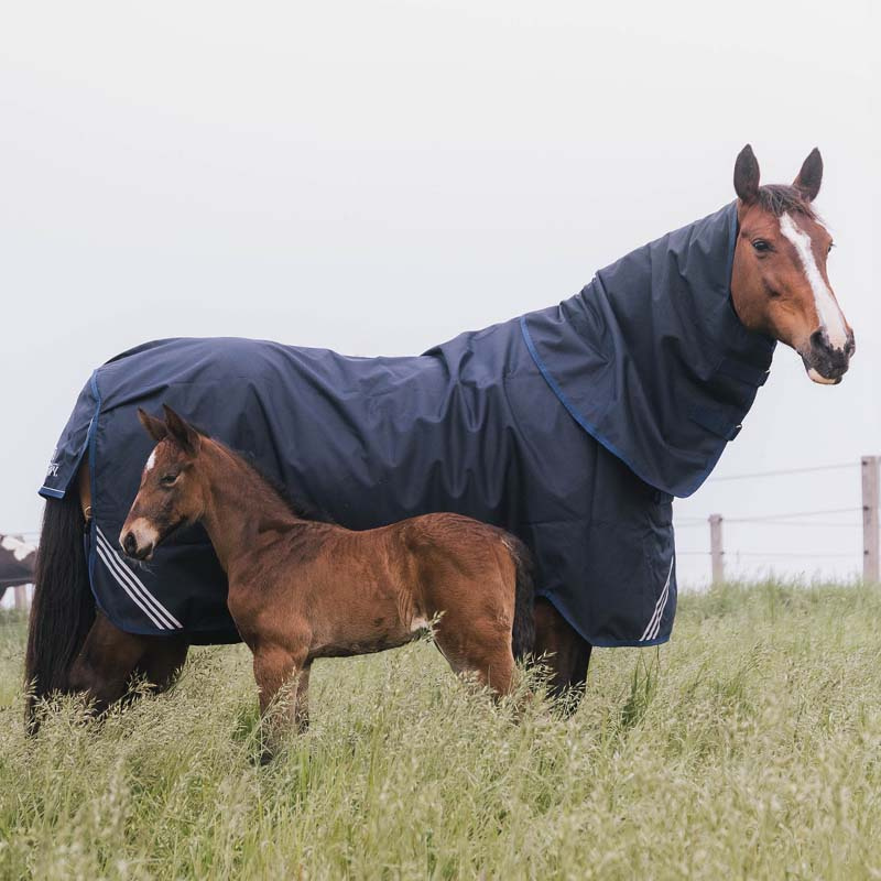 Neck All Weather Waterproof Comfort 100g Navy Blue