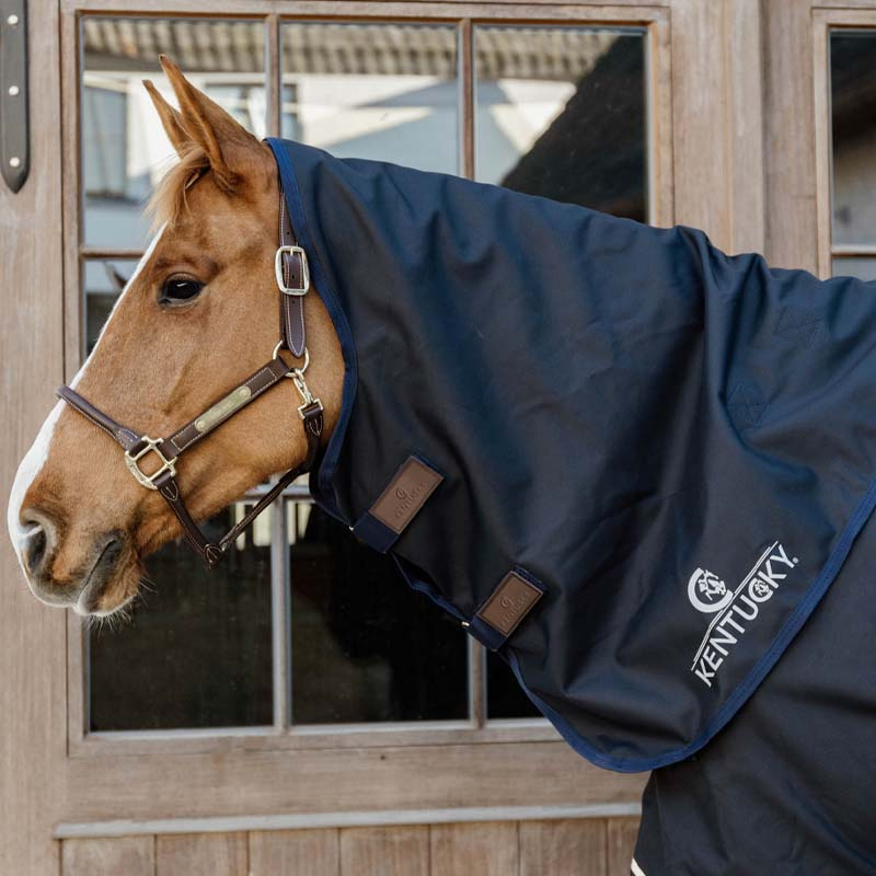 Neck All Weather Waterproof Comfort 200g Navy Blue