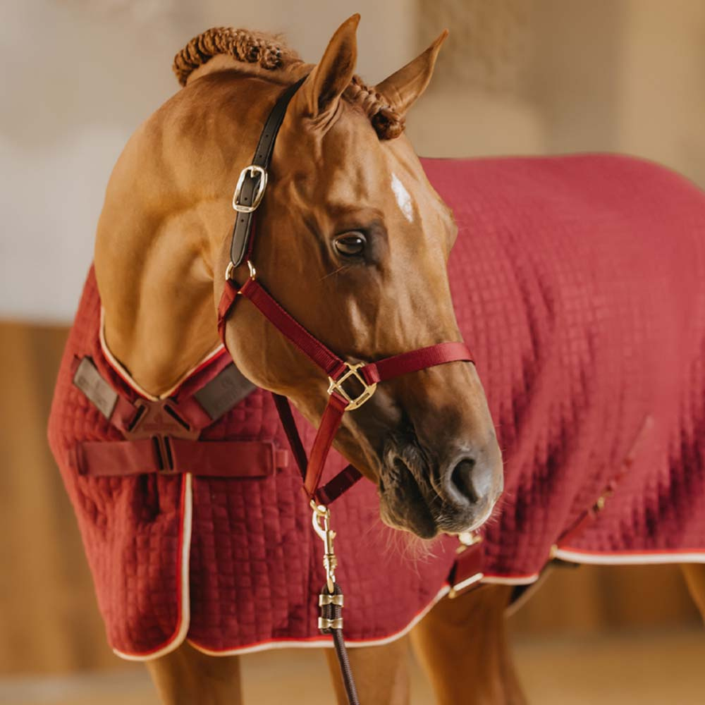 Cooler Rug PROTherm Bordeaux