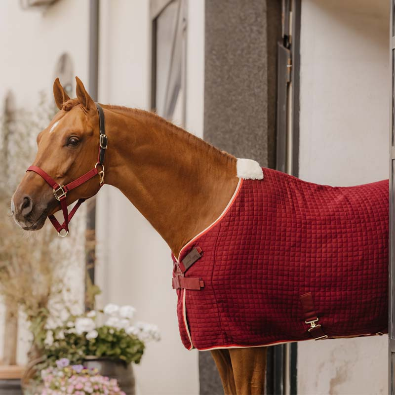 Cooler Rug PROTherm Bordeaux