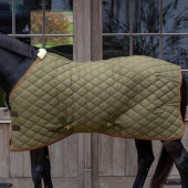 Stable Rug Wave 600D 160g Green Stable Rug Wave 600D 160g Green