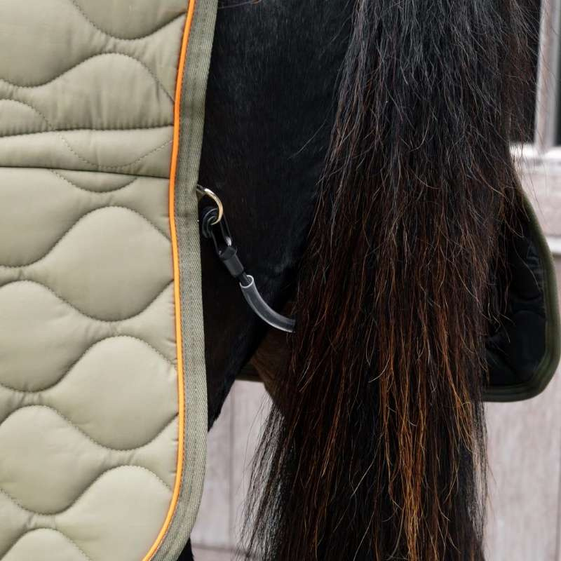 Stable Rug Wave 600D 160g Green