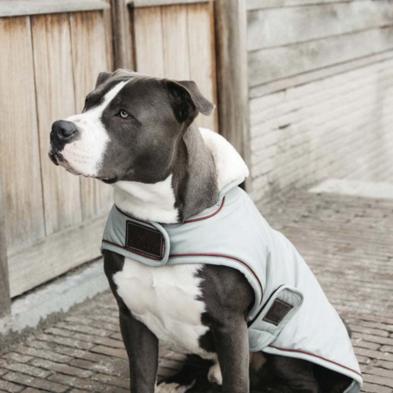 Dog Blanket Waterproof 160g Blue