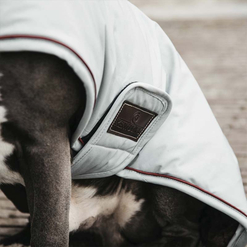 Dog Blanket Waterproof 160g Blue