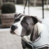 Dog Blanket Waterproof 160g Blue Dog Blanket Waterproof 160g Blue